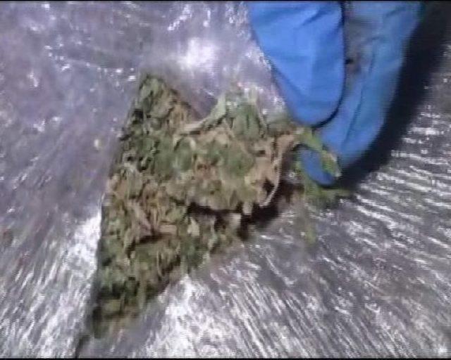 Pendik te Durdurulan Kamyonda 1 Ton Esrar Ele Ge&ccedil;irildi; 7 Kişi G&ouml;zaltına Alındı (1) 1