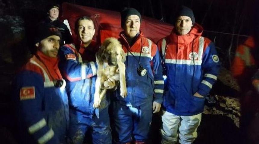 Ttk Ekibi 'kuyu'yu Yılan Yakalama Aparatıyla Kurtardı