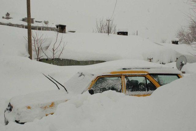 Bitlis’te 271 Köy Yolu Ulaşıma Kapandı