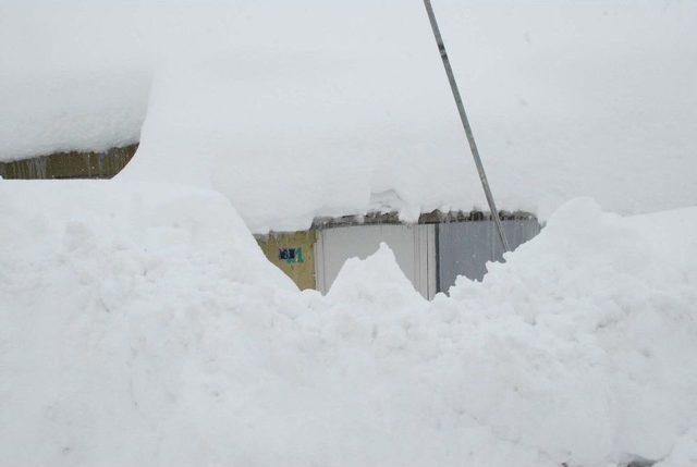 Bitlis’te 271 Köy Yolu Ulaşıma Kapandı