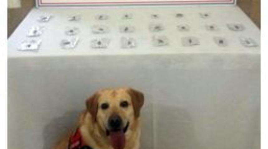 Jandarmadan Uyuşturucu Operasyonu