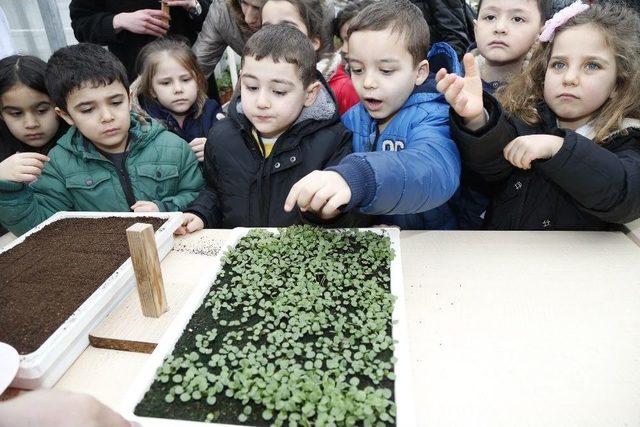 Gölbaşı’da Minik Eller Toprakla Buluştu