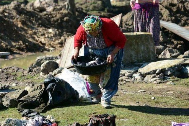 Deprem B&ouml;lgesinde Hayat Normale D&ouml;n&uuml;yor 3