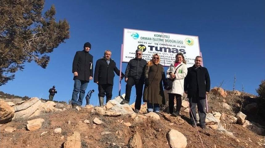 Korkuteli&rsquo;de Maden Sahaları Yeşilleniyor