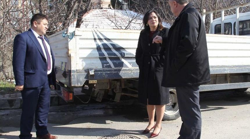 Esrarengiz Kokunun Kaynağı Bulundu