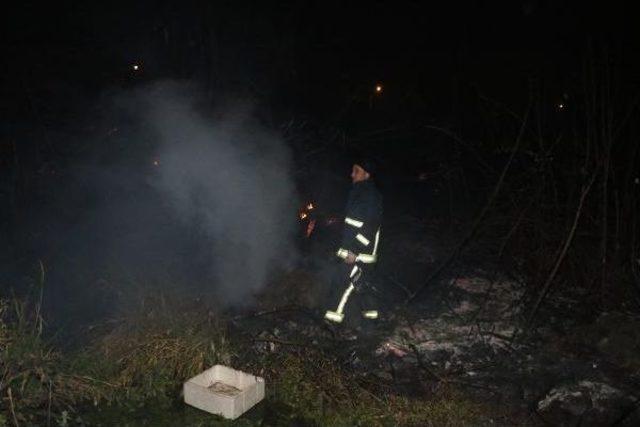 Antalya’Da Çalılık Yangını Korkuttu