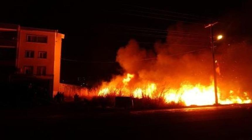 Sazlık Yangınında 12 D&ouml;n&uuml;m Seralık Alan Zarar G&ouml;rd&uuml;