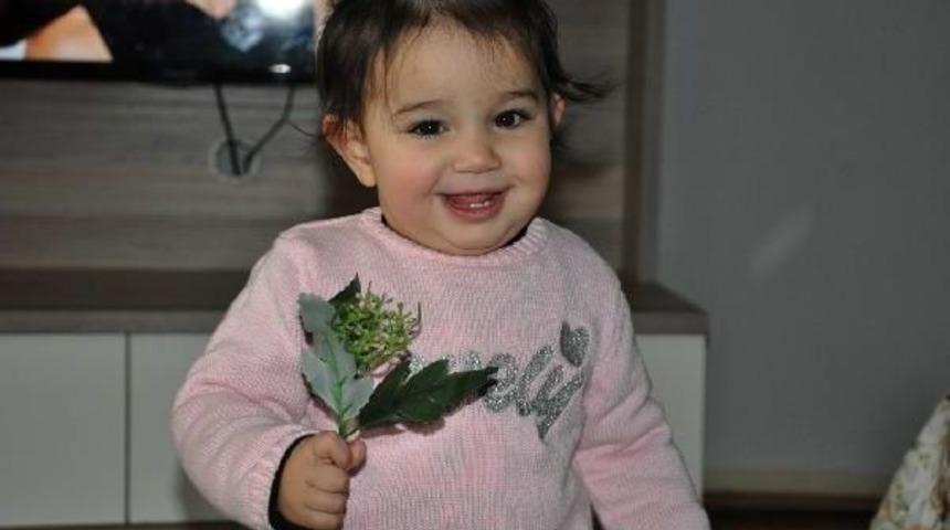 Yüz Nakli Olan Recep Sert'in Kızı Hira Yürümeye Başladı