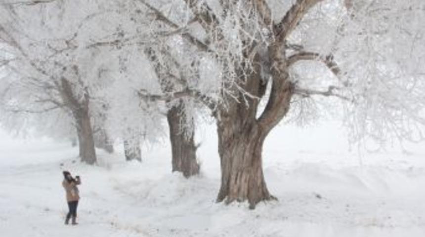 Doğu Anadolu’da Soğuk Hava