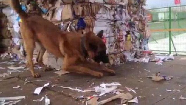 İpsala’Da Tır da 298 Kilo Esrar Ele Geçirildi 2