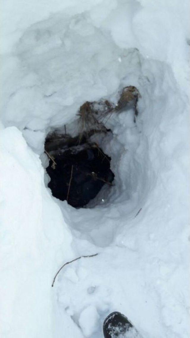 Bing&ouml;l&rsquo;de 2 Sığınak Bulundu 1