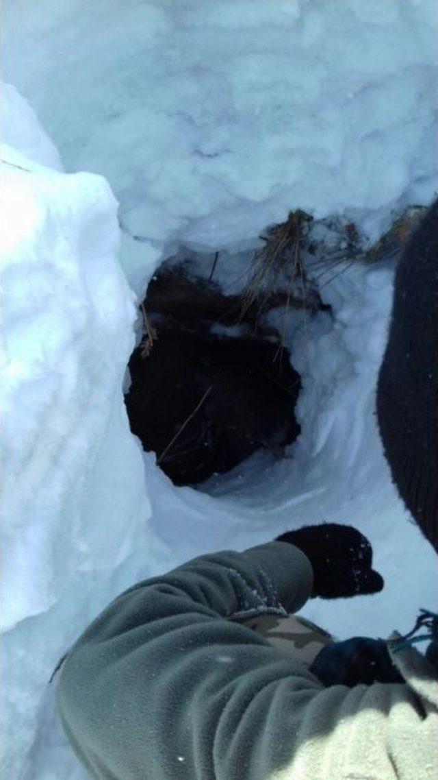 Bing&ouml;l&rsquo;de 2 Sığınak Bulundu 2