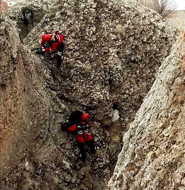 Kayalıklarda Mahsur Kalan Keçi Kurtarıldı