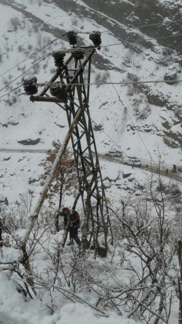 Dicle Elektrik Dağıtım Zorlu Kış Şartlarına Direniyor