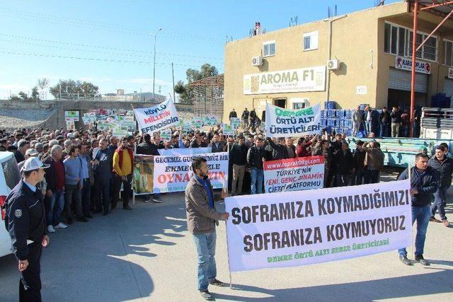 Demreli &Uuml;reticilerden &rsquo;hormon&rsquo; Tepkisi 1