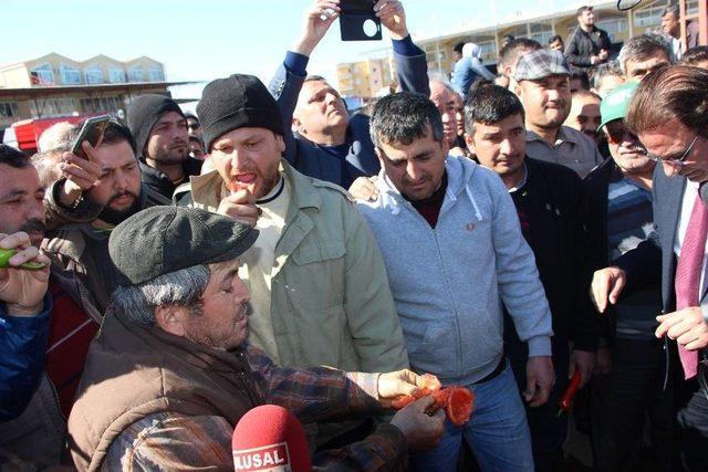 Demreli &Uuml;reticilerden &rsquo;hormon&rsquo; Tepkisi 3