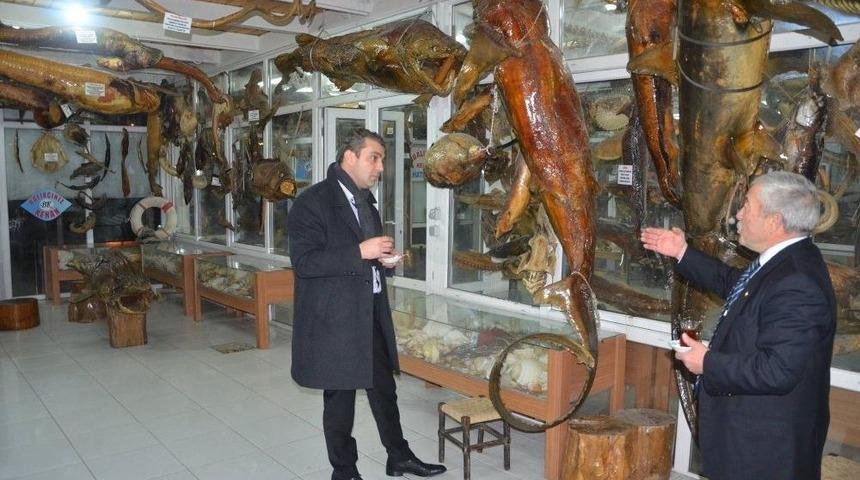 G&ouml;khan Taşkın: &ldquo;bunlar Balık Değil Canavar&rdquo;