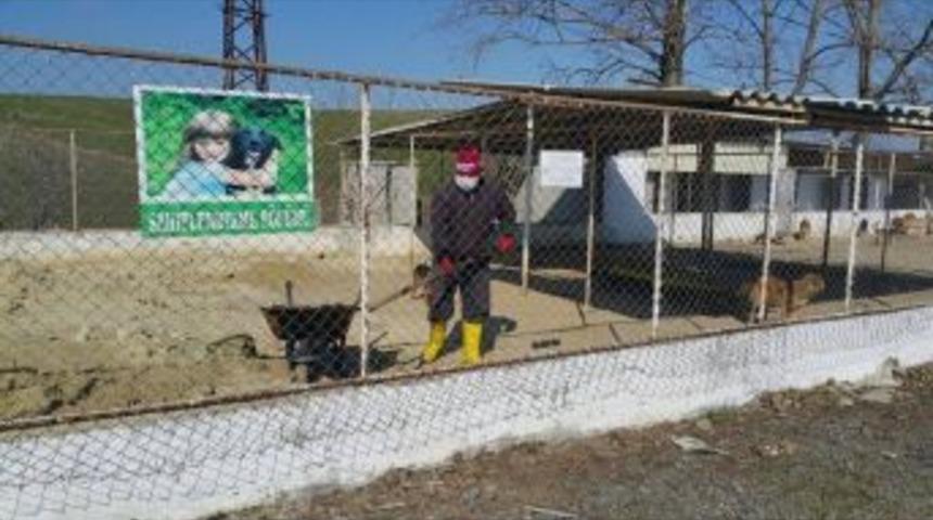 Sokak Hayvanları İ&ccedil;in Zemin Kumu Yenileme &Ccedil;alışmaları