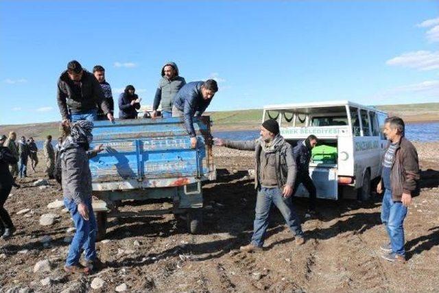 Hastaneden Ayrıldı, Baraj Gölünde Intihar Etti