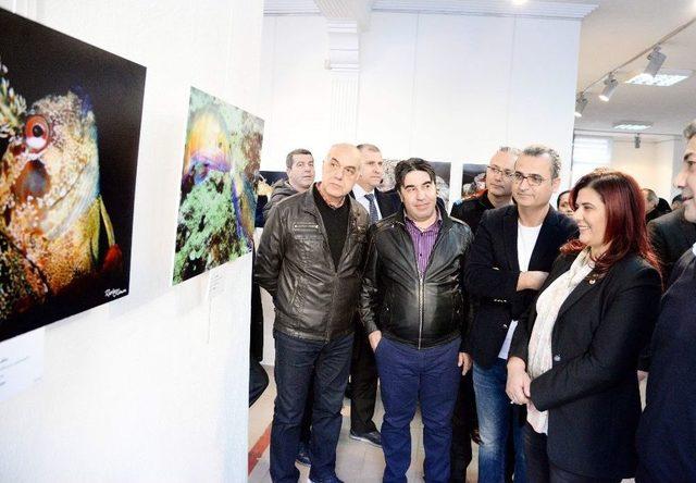 Başkan Çerçioğlu Su Altı Fotoğraf Sergisini Açtı