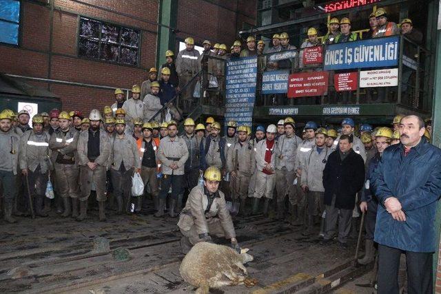 Dördüncü Ocakta Açılan Yeni Ayak İçin Kurban Kesildi