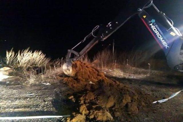 Tekirdağ'da Yol Kenarında 15 Keçi Leşi Bulundu