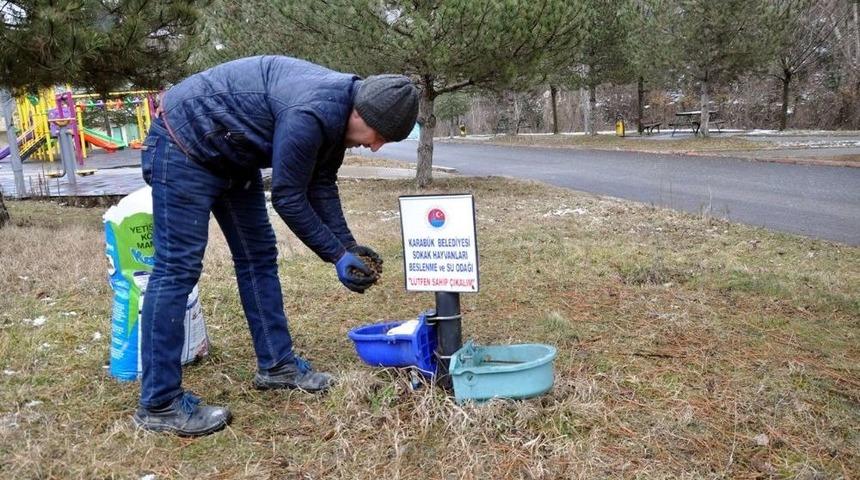 Karab&uuml;k Belediyesinden Sokak Hayvanlarına Kuru Mama