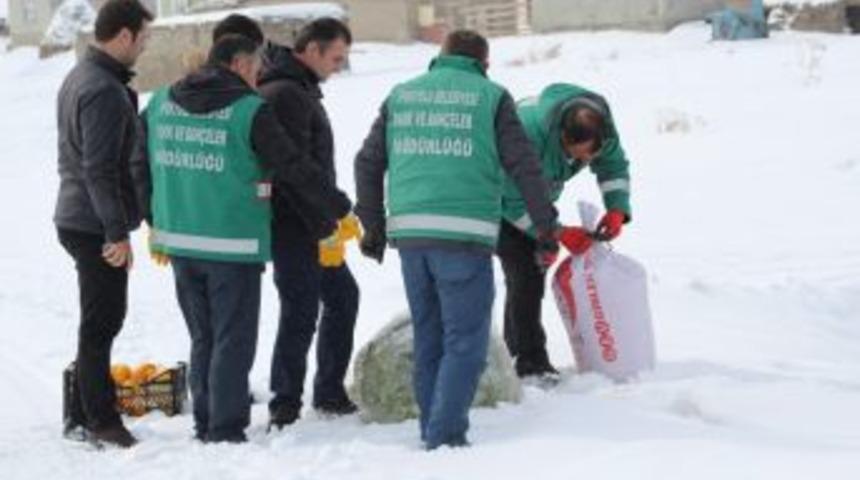 Yaban Hayvanları İ&ccedil;in Doğaya Yem Bırakıldı