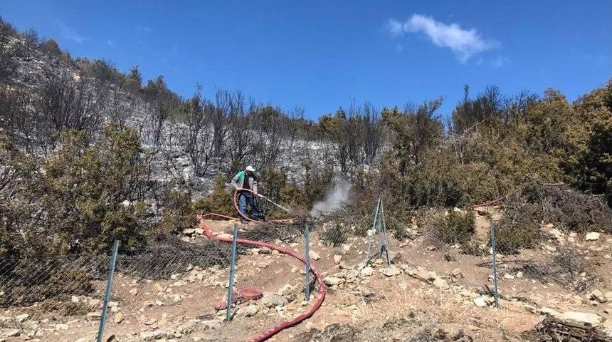 Korkuteli&rsquo;nde Makilik Yangını