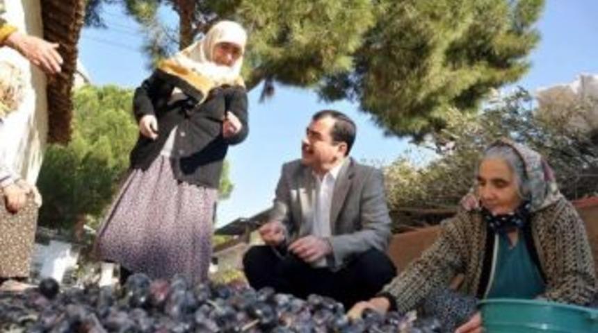 Ak Parti’li Erdem’den Zeytinciye Prim Müjdesi