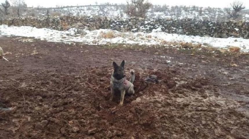 Mardin'de Facia Son Anda &Ouml;nlendi; 100 Kiloluk Bomba Imha Edildi