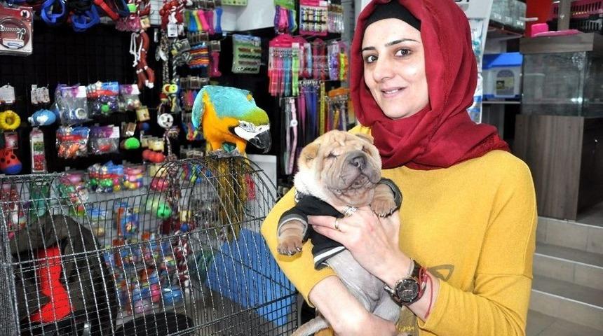 K&uuml;&ccedil;&uuml;k Yaşta Evcil Hayvan Yetiştiren &Ccedil;ocuklar Hayatta Daha Başarılı Oluyor