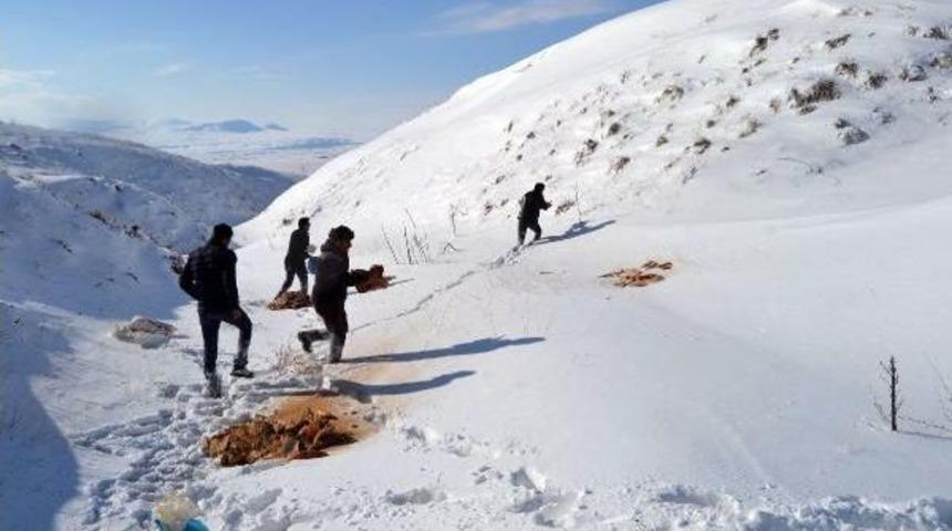 Ahlat'ta &Uuml;lk&uuml;c&uuml;ler Doğaya Yem Bıraktı