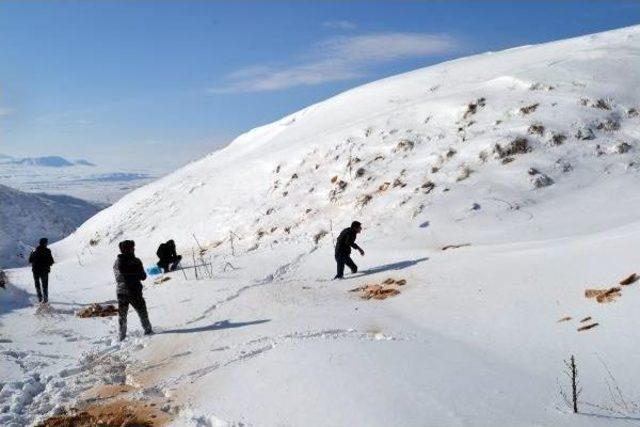 Ahlat'ta Ülkücüler Doğaya Yem Bıraktı