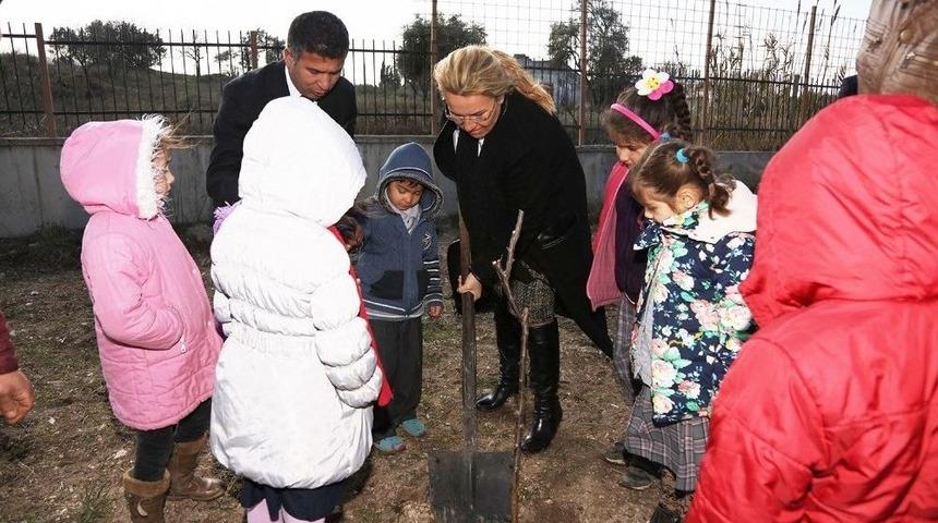 &Ouml;ğretmen Ayşe Aktaş Anısına Ağa&ccedil; Dikildi