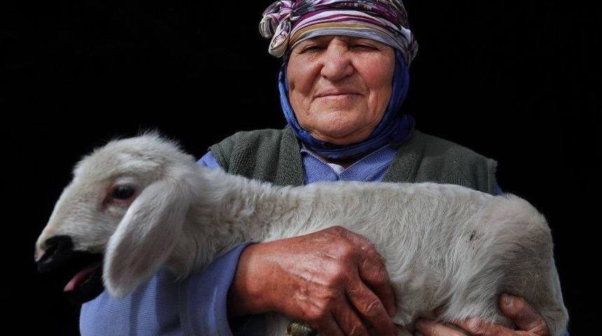 Y&ouml;r&uuml;k K&uuml;lt&uuml;r&uuml; &Ccedil;alıştayına Doğru