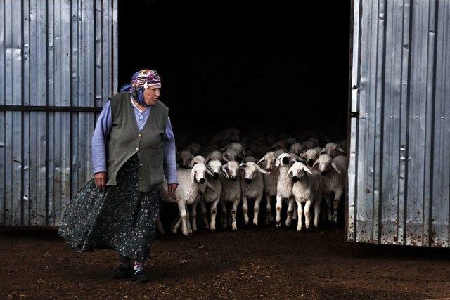 Yörük Kültürü Çalıştayına Doğru