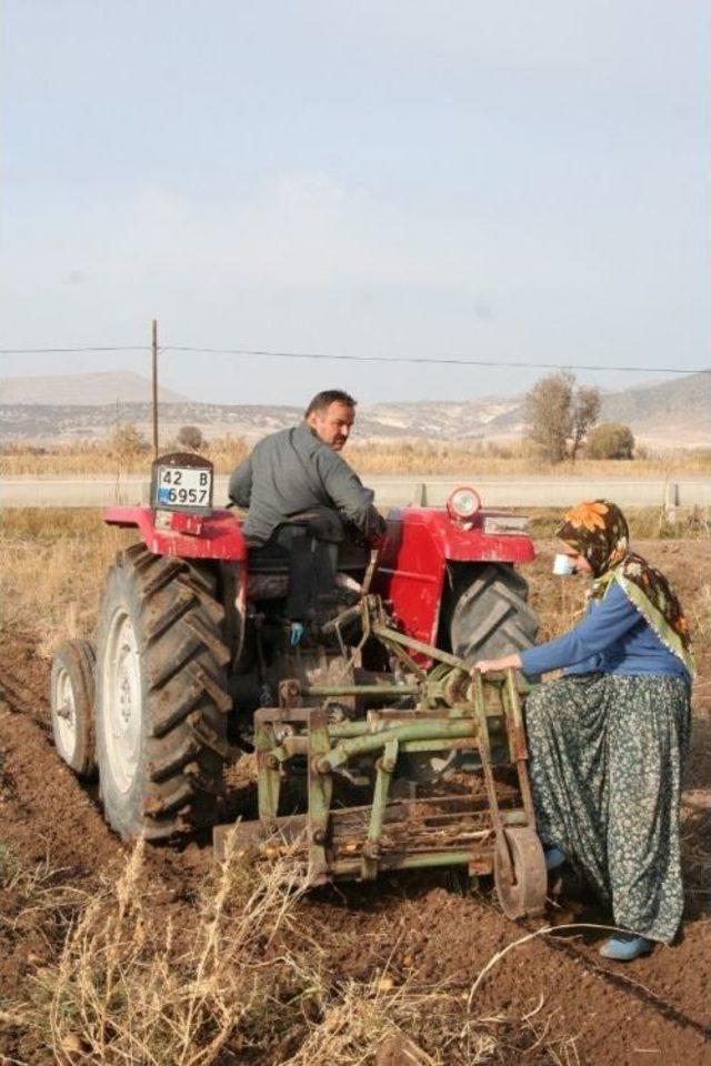 Cipslik Patates Üreticilerinden Mağduriyetlerinin Giderilmesine Teşekkür