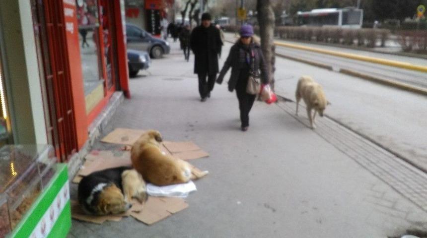 Esnaflardan &Ouml;rnek Davranış