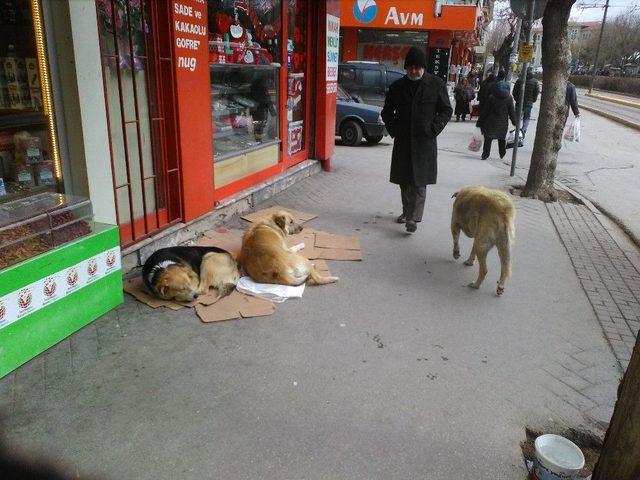 Esnaflardan Örnek Davranış