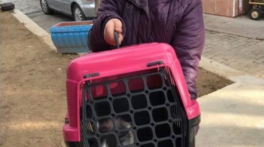 2016 Yılında Bin 257 Can Yuvaya Kavuştu