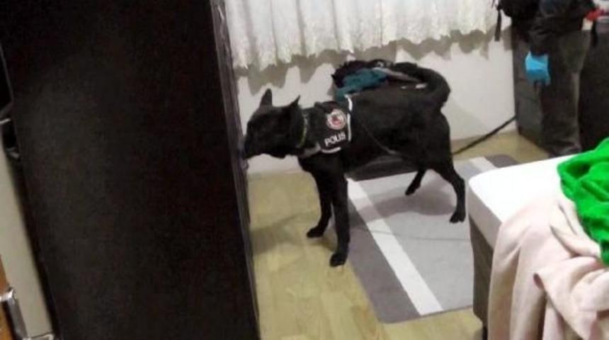 D&uuml;zce'de Uyuşturucu &Ccedil;etesine Operasyon: 6 Tutuklama