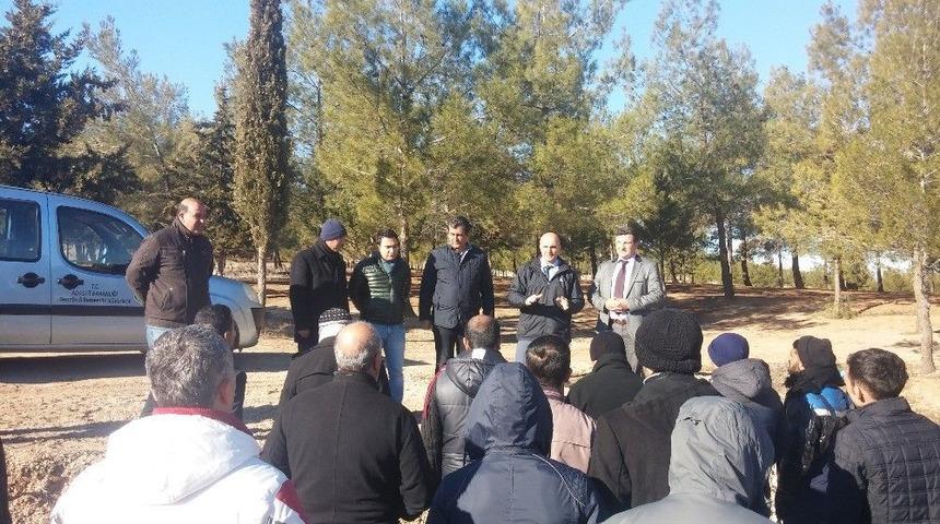 Adıyaman&rsquo;da H&uuml;k&uuml;ml&uuml;ler Fidan Dikti