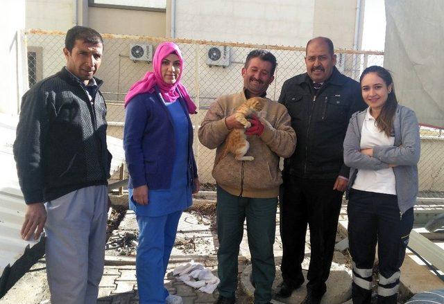 Havalandırma Boşluğuna D&uuml;şen Kediyi Hastanenin Sivil Savunma Ekipleri Kurtardı 1