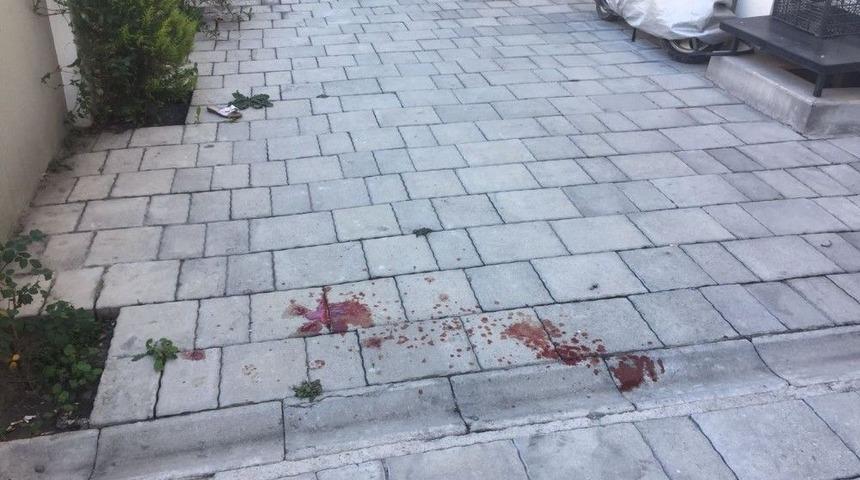 Minik Y&uuml;rek Yaşama Tutunmaya &Ccedil;alışıyor