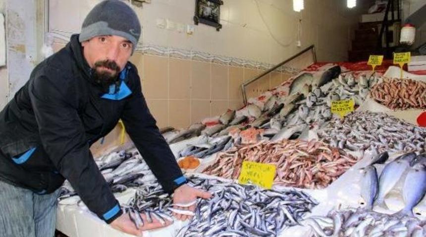 Samsun'da Hamsinin Kilosu 10 Liraya D&uuml;şt&uuml;