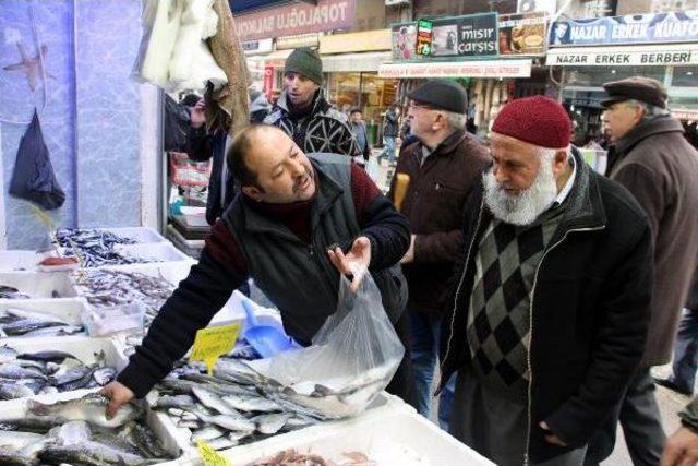 Samsun da Hamsinin Kilosu 10 Liraya D&uuml;şt&uuml; 1