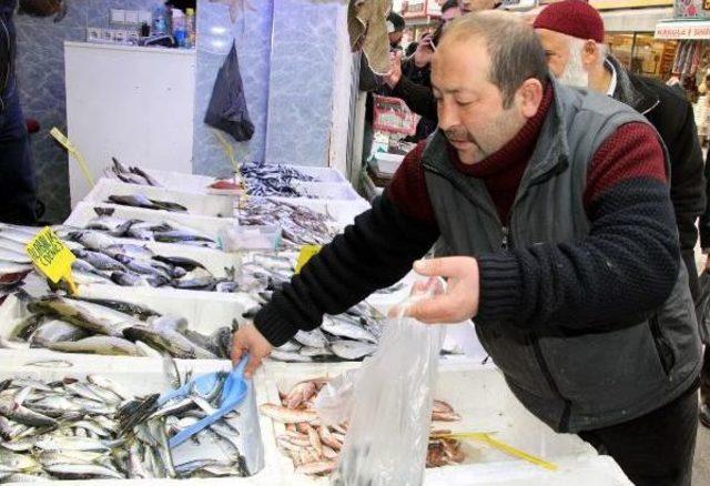 Samsun da Hamsinin Kilosu 10 Liraya D&uuml;şt&uuml; 2