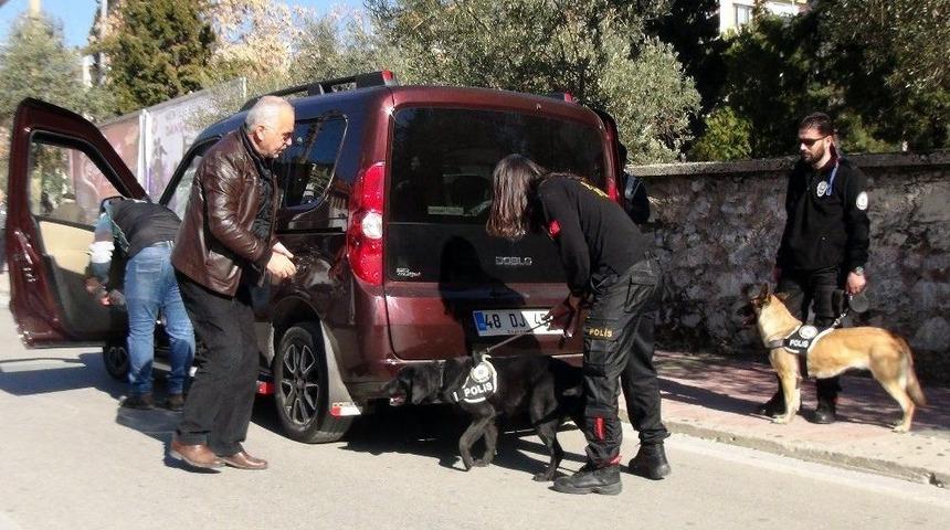 Muğla Polisinden Uyuşturucu Denetimi