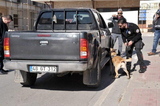 Muğla Polisinden Uyuşturucu Denetimi